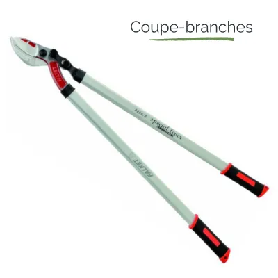 Coupe-branches